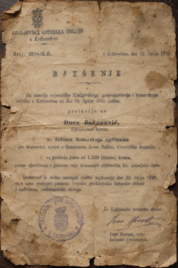 Rješenje o postavljanju, Križevci, 12. lipnja 1910.